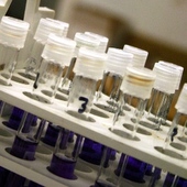 Experten Prüfen Gegenwärtige Und Zukünftige Forschung Über Neue Behandlungsoptionen Beim Multiplen Myelom