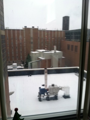 The view.jpg