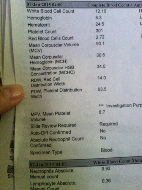 Blood Counts.jpg