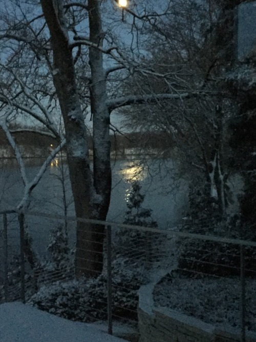 IMG_5251v2.jpg IMG_5251v2.jpg