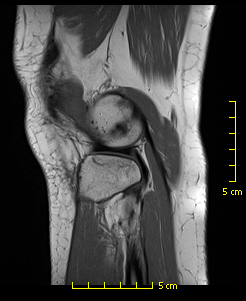 Screen shot 2014-06-19 at 10.29.21 PM.png