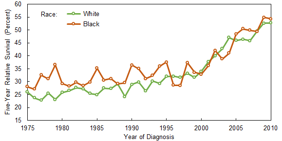 Multiple myeloma survival, by race, 1975-2010
