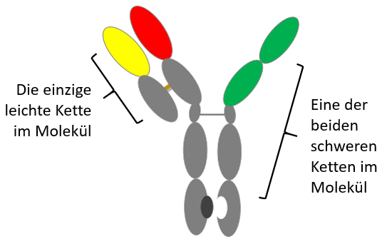 Schematic of TNB-383B
